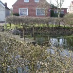 Oostfriesland 040